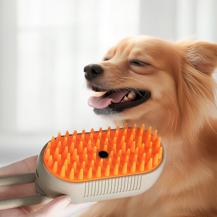 BristleBloom – Steam Pet Grooming Brush for Cats and Dogs