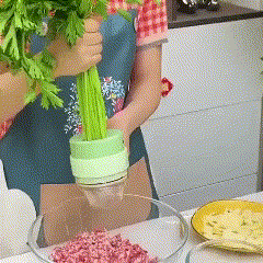 SpeedChop – Electric Vegetable Chopper