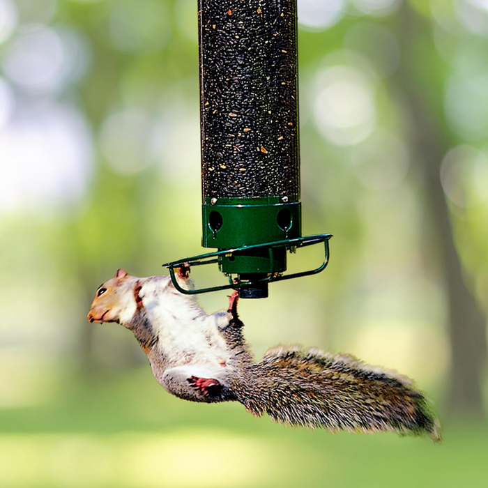 TwirlFeast - Squirrel Proof Bird Feeder