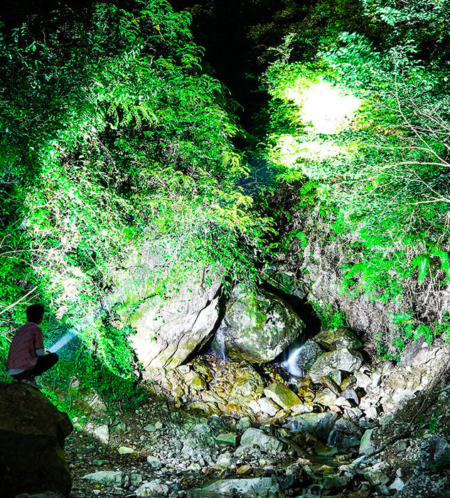 WildLite - Powerful Rechargeable Flashlight