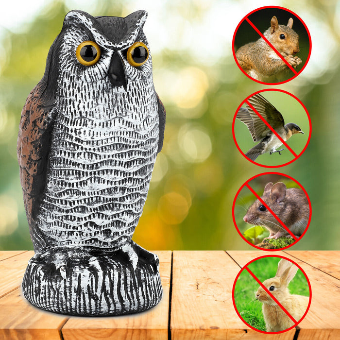 FeatherFend - Realistic Owl Bird Repellent