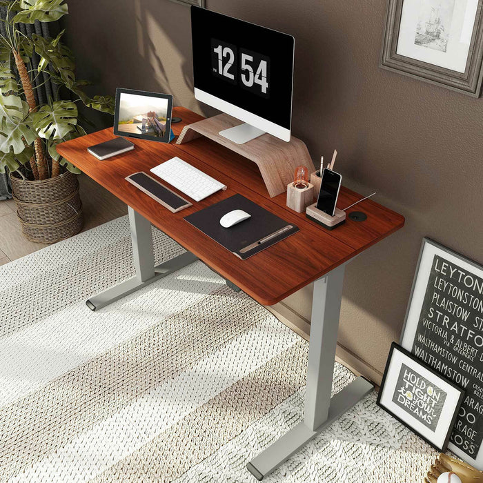 Height Adjustable Electric Standing Desk