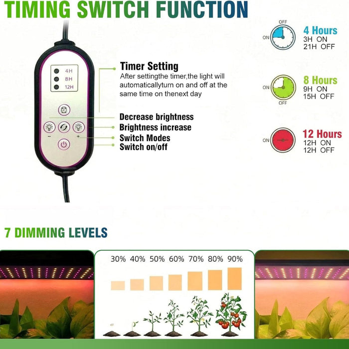 BloomBay - Indoor Greenhouse with Grow Light