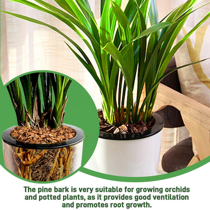 RootFlow – Natural Orchid Potting Medium