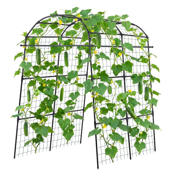 VineRise - Metal Garden Trellis