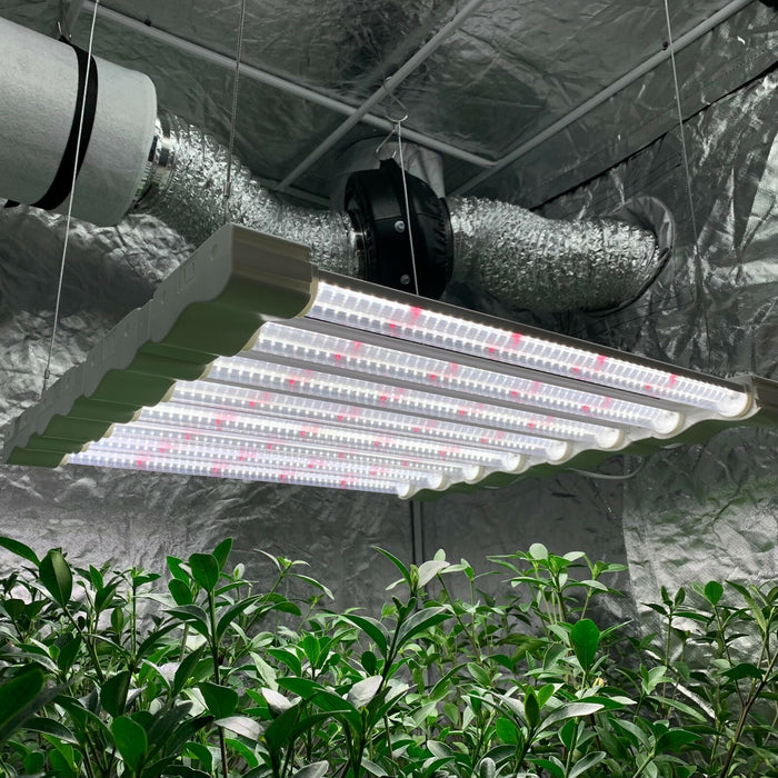 GreenPulse - Hydroponic Grow Lamp