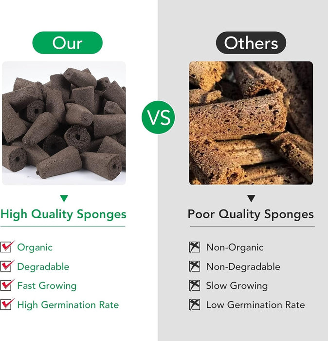 SprigNest - Grow Sponges Seed Starter Kit