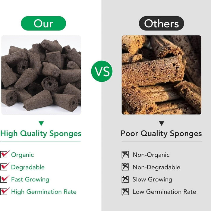 SprigNest - Grow Sponges Seed Starter Kit