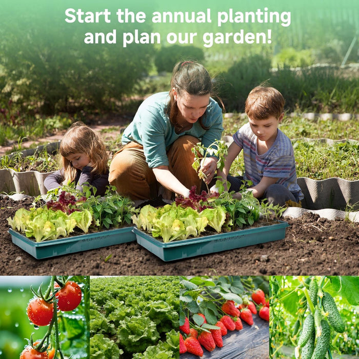HarvestStart - Seed Starter Trays with Grow Lights