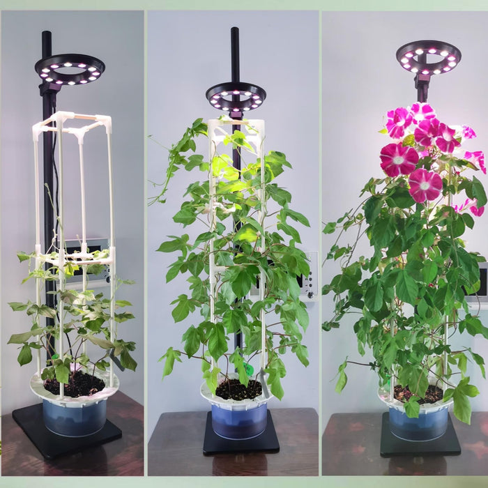 Growspire - Hydroponics Growing System