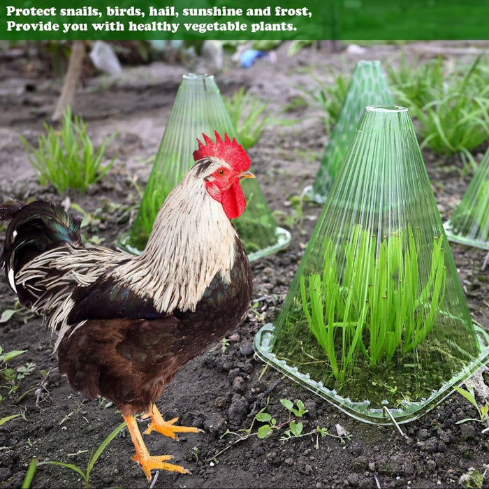 GrowCaps - Garden Cloches for Plants