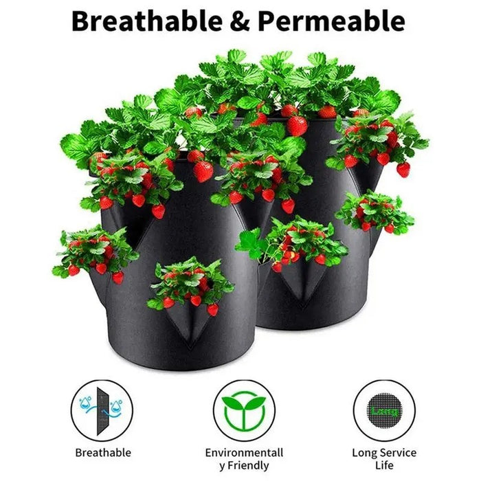 BerryBloom - Outdoor Strawberry Planters