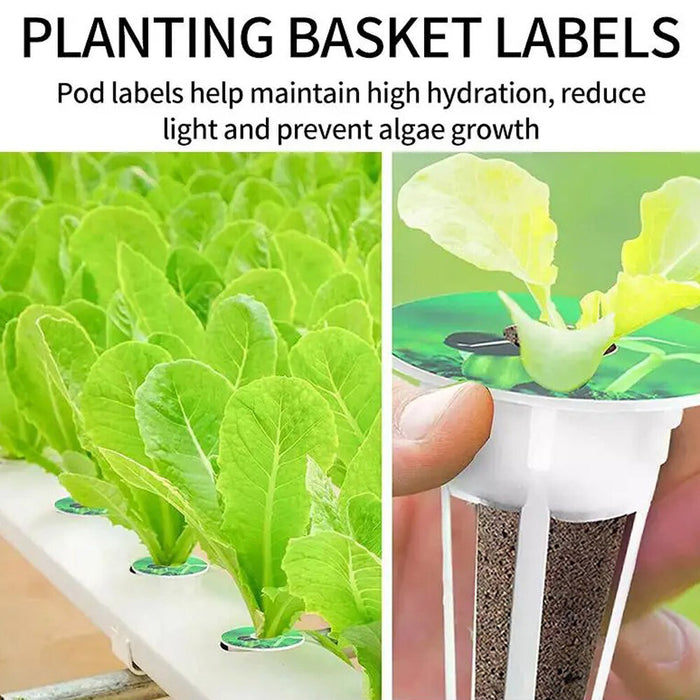 Rootify - Hydroponic Garden Seed Pods