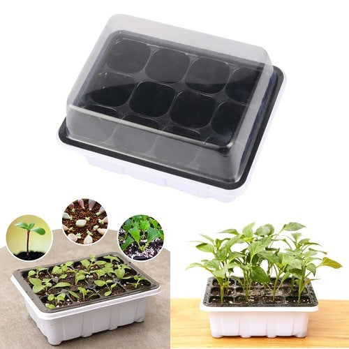 GrowLid - Greenhouse Seedling Tray