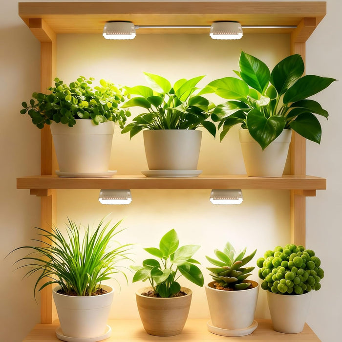 SolFlora  - Dimmable Indoor Plant Light