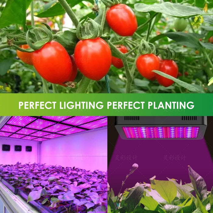 BotaniBeam - 1200W LED Grow Light