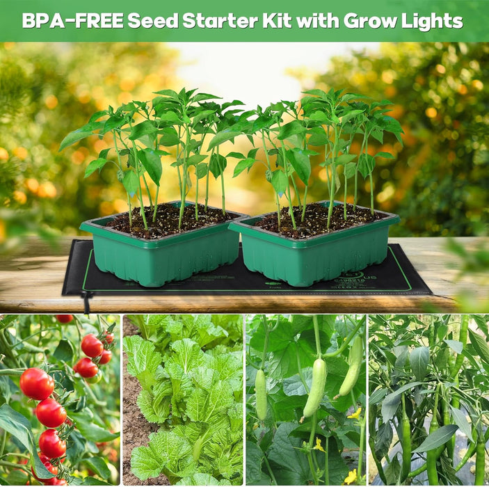RootBloom - Seed Starter Trays with Grow Lights