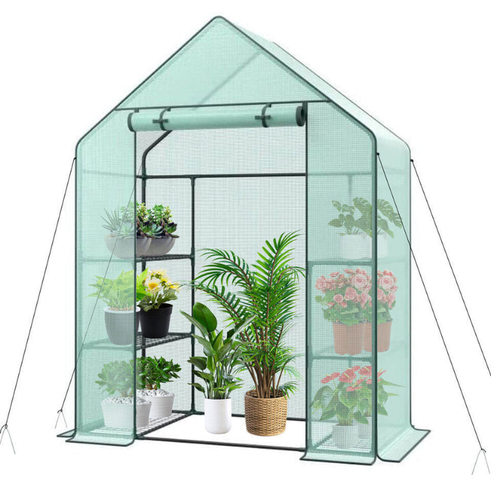 Evergreen - Tiered Walk-in Greenhouse