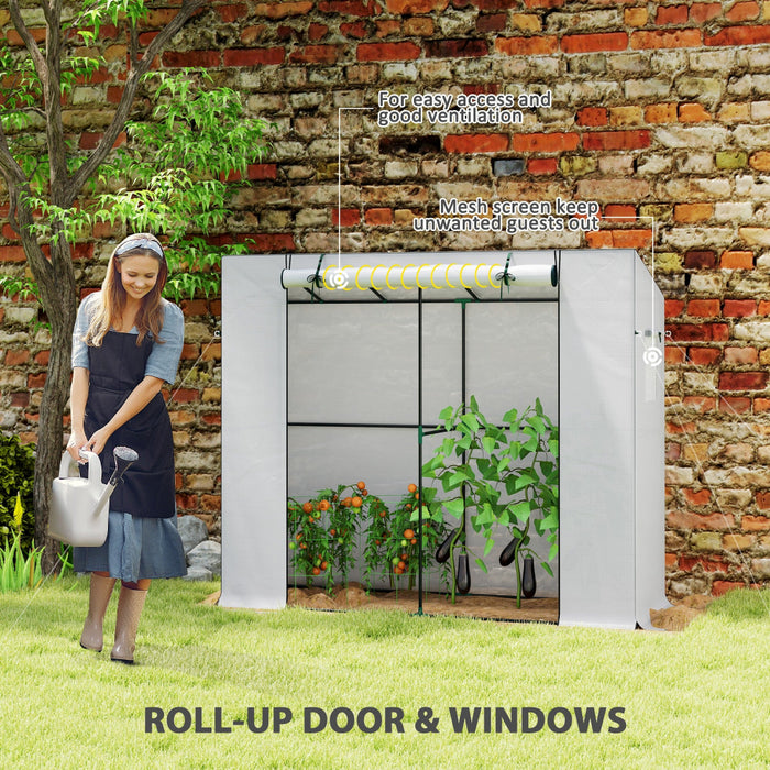 BloomCove - Portable Small Greenhouse