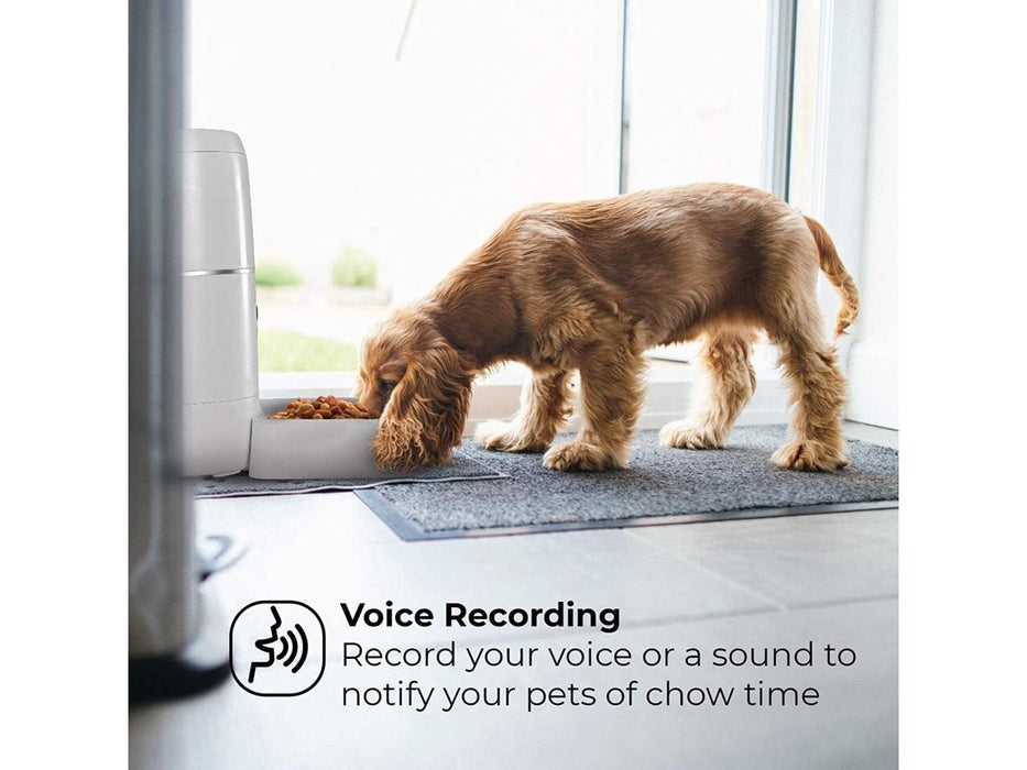 Routine™ – Automatic Pet Feeder