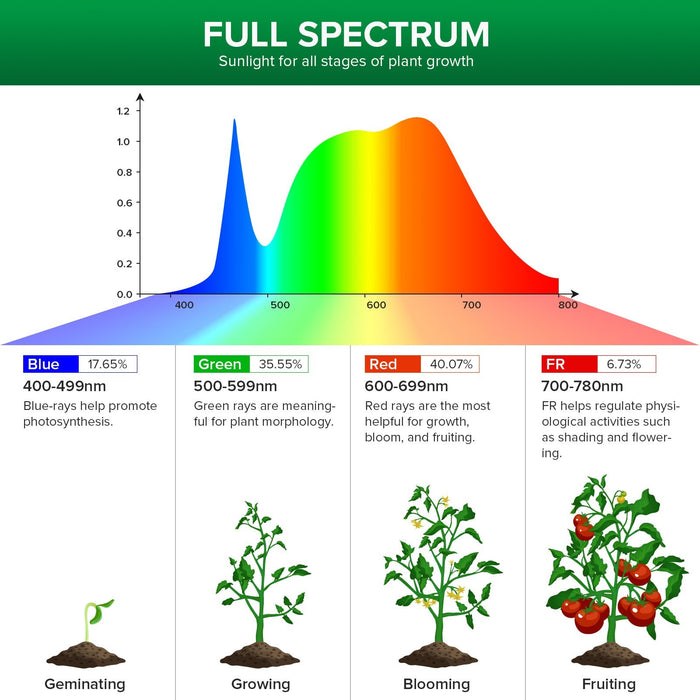 SolFlora  - Dimmable Indoor Plant Light