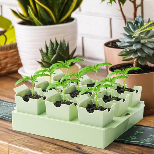 SproutBase - Extra-Thick Reusable Germination Kit