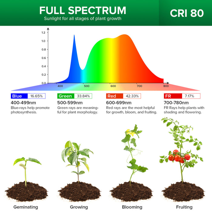VitaSprout - LED Indoor Grow Lamp