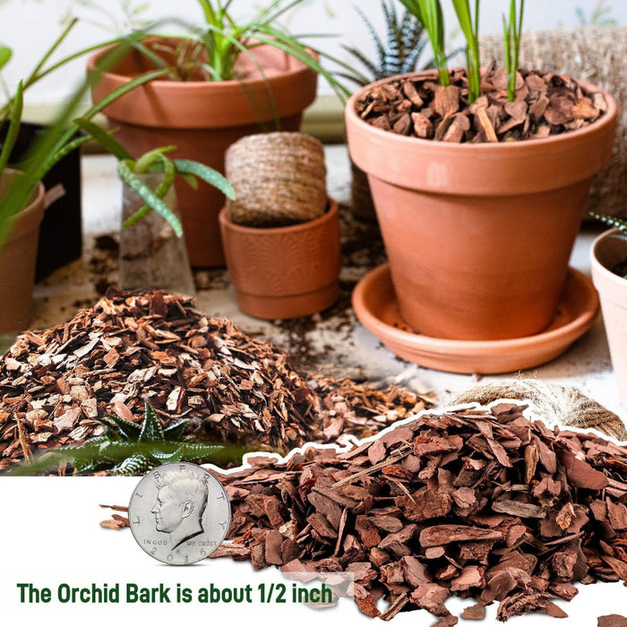 RootFlow – Natural Orchid Potting Medium