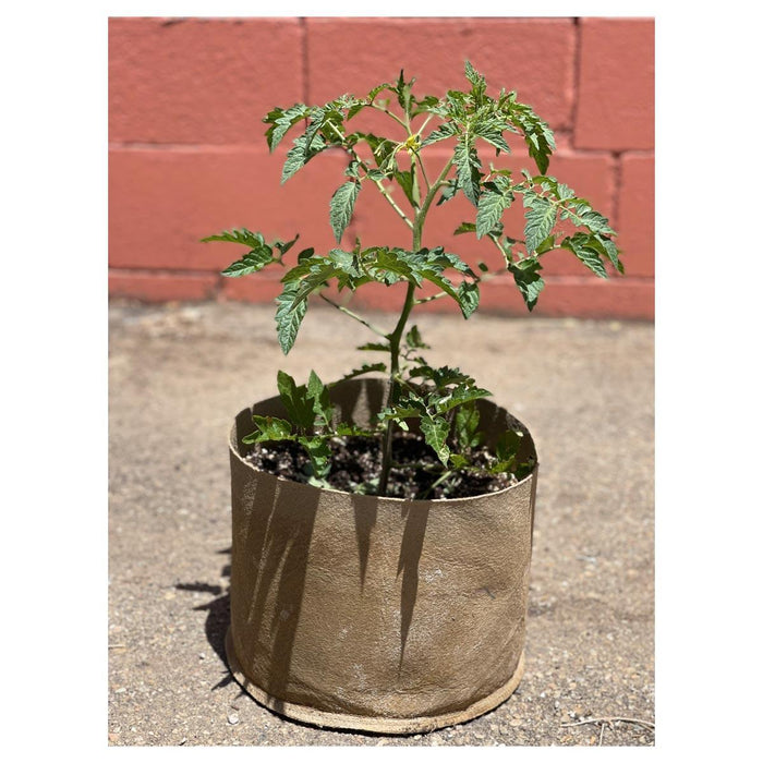 MoistureCore - Living Soil Pot