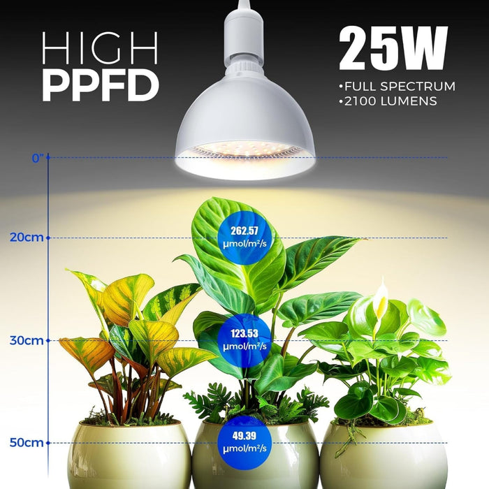 BloomCord - Hanging Grow Lights for Indoor Plants