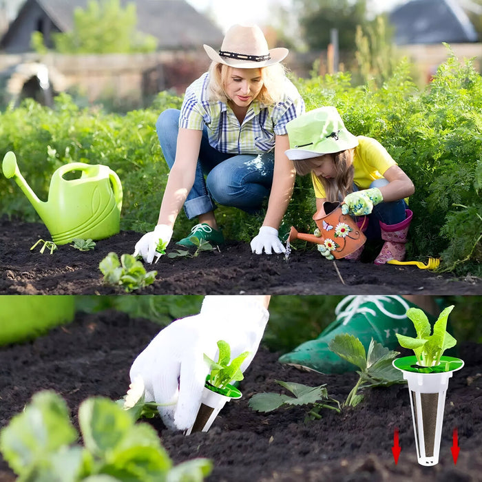 Rootify - Hydroponic Garden Seed Pods