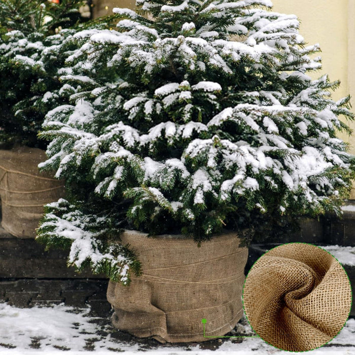 ArborWrap - Plant Winter Cover