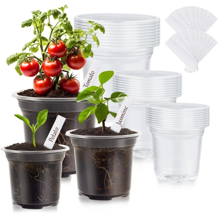RootWatch - Clear Plastic Plant Pot