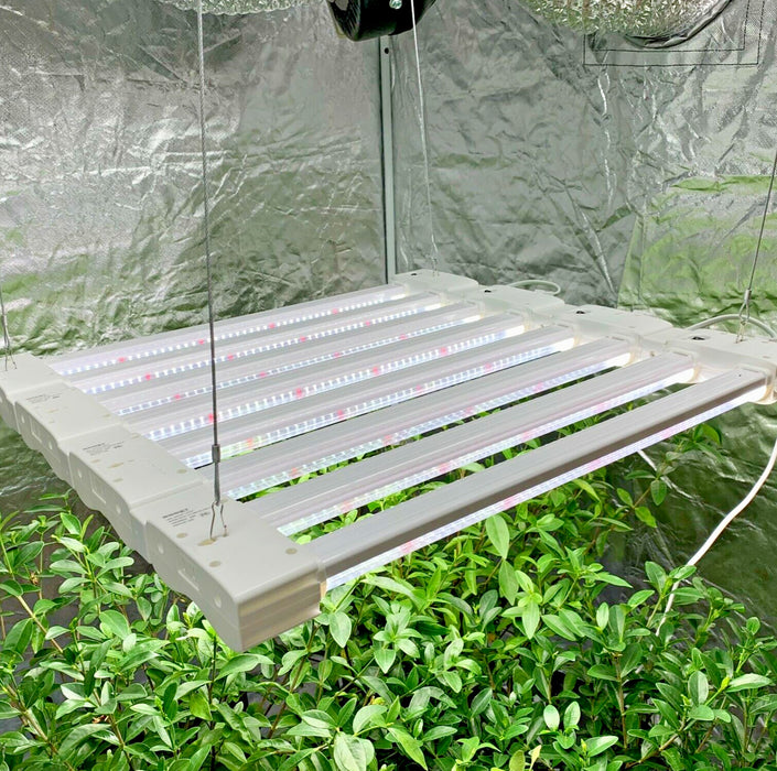 GreenPulse - Hydroponic Grow Lamp