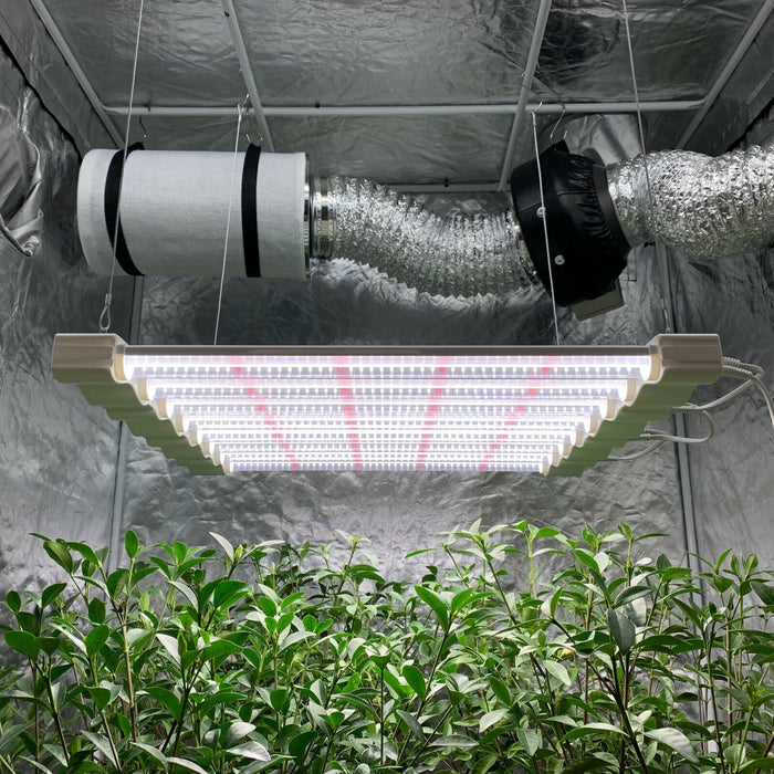 GreenPulse - Hydroponic Grow Lamp