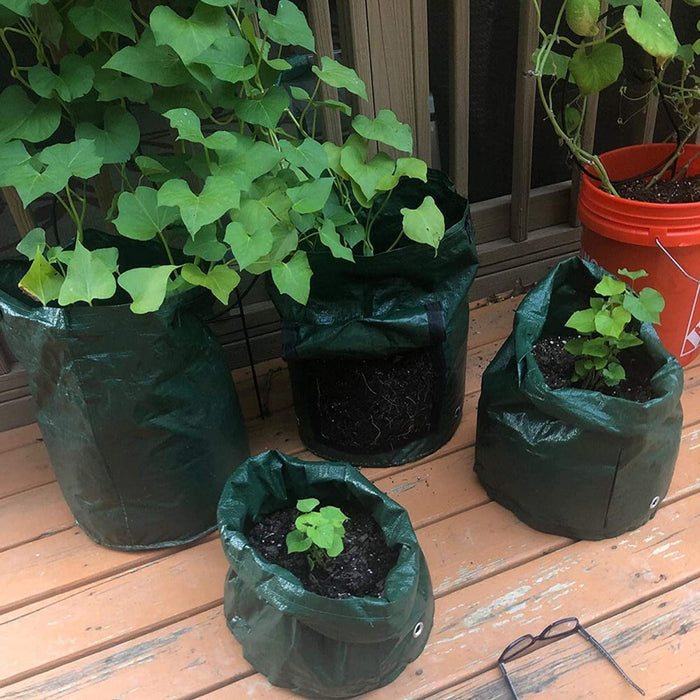 HarvestPeek - 3-Pack Potato Grow Bags