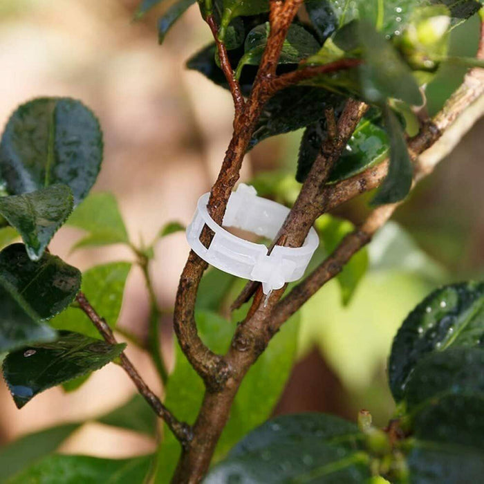 ClearGrip - Plant Trellis Clips