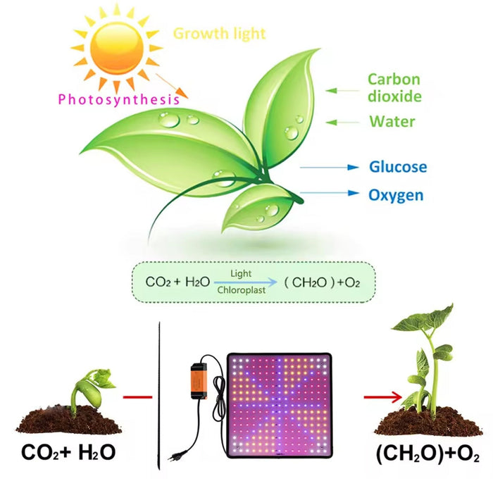 FloraGlow - Full Spectrum LED Grow Light