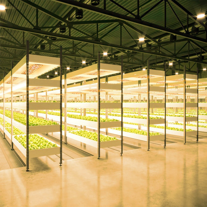 PlantBeam - Indoor LED Plant Grow Light