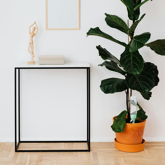 GreenSip - Plant Self Watering Spikes