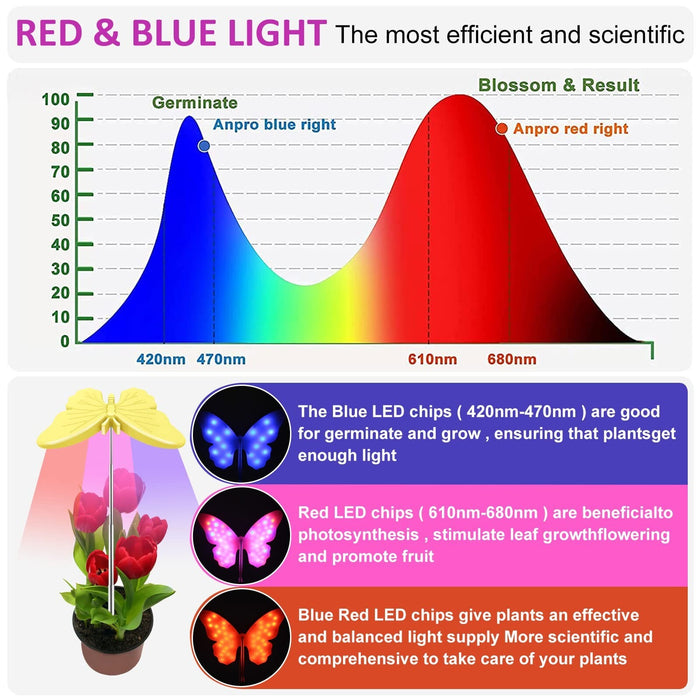 BotanicaRay - Plant Support Light