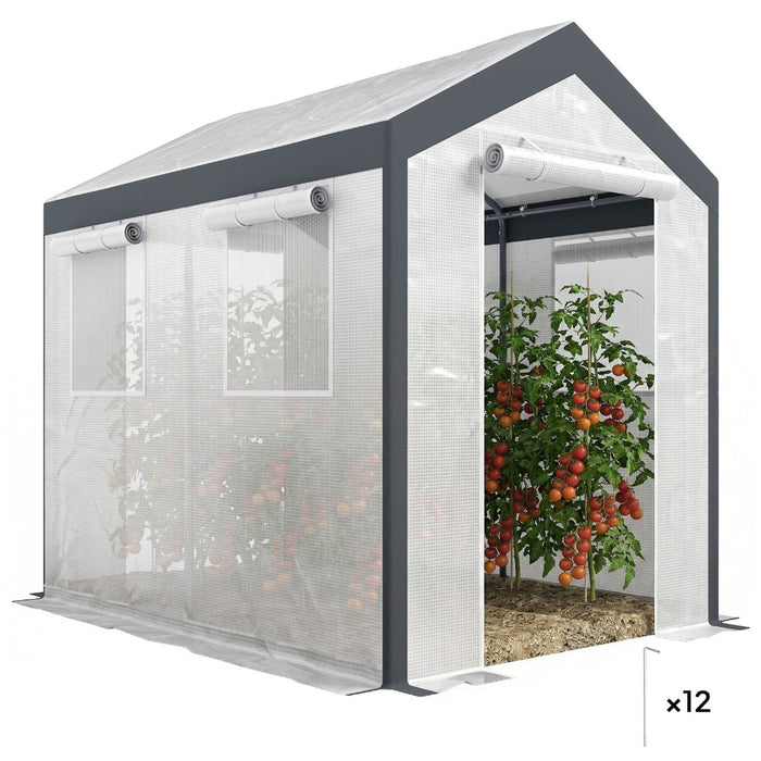 SunRoot - Steeple Walk-In Greenhouse Tunnel