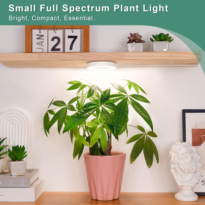 SolBloom - LED Grow Light for Indoor Plants