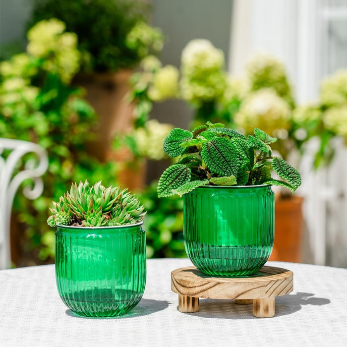 MoistureMate - Self-Watering Planters