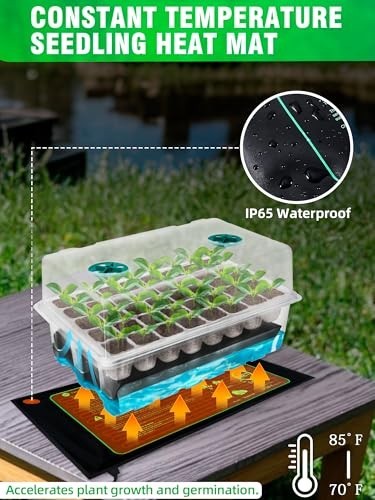 Seedora - Self-Watering Seed Starter Kit