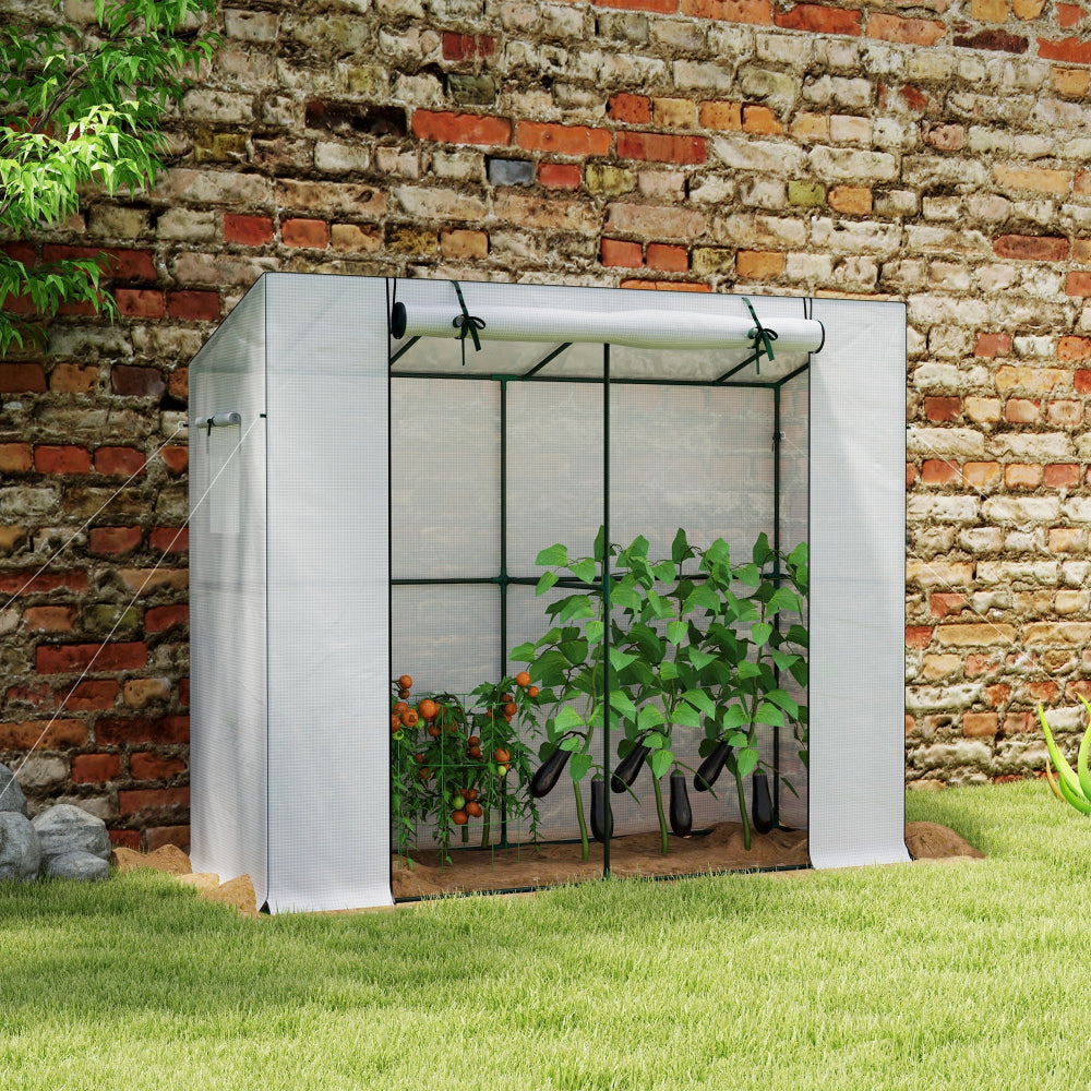 BloomCove - Portable Small Greenhouse
