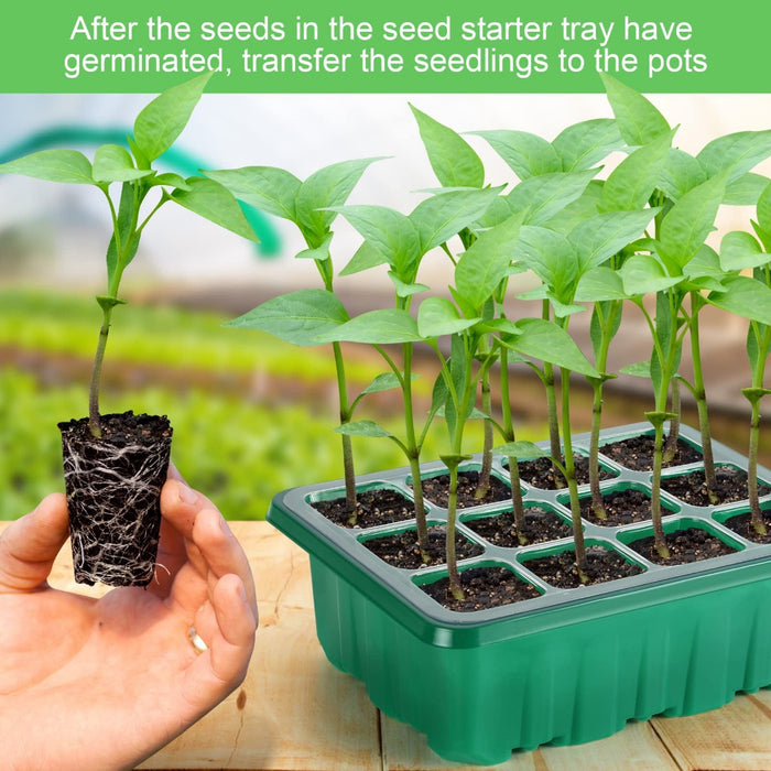 SproutDeck - 6pcs Self-Watering Seed Starter Trays