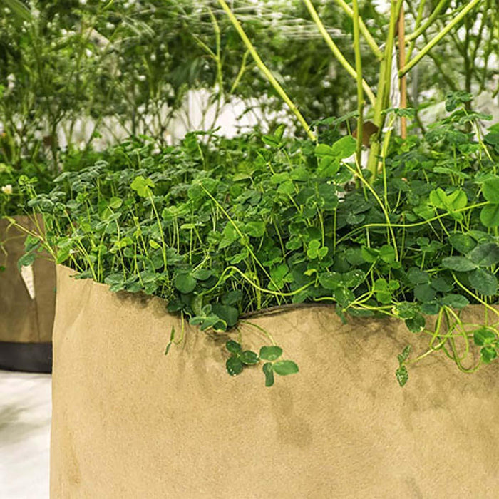 MoistureCore - Living Soil Pot