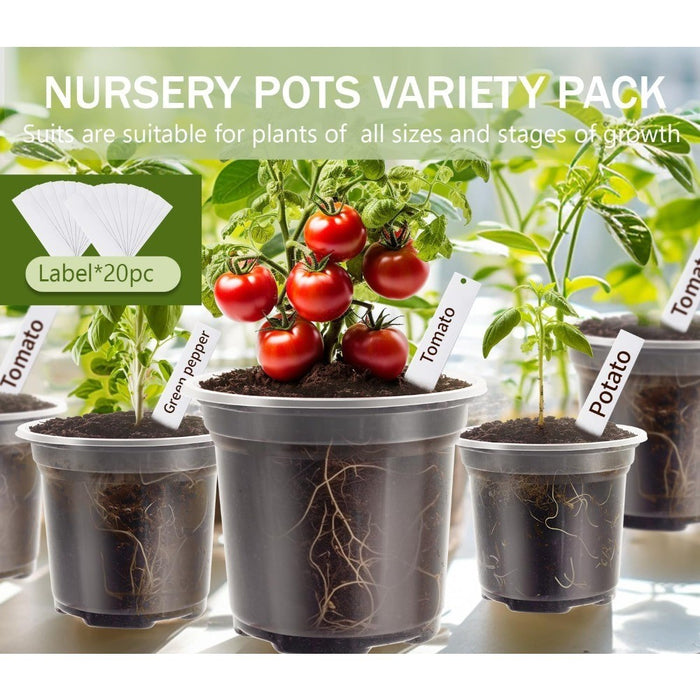 RootWatch - Clear Plastic Plant Pot