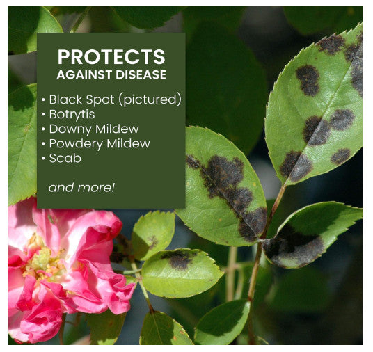 GardenGlow - Neem Oil Spray for Plants